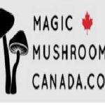 Magic Mushrooms Canada Profile Picture