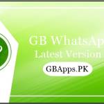 GB WhatsApp Apk Profile Picture