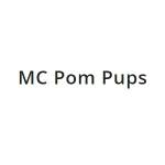Mcpom Pups Profile Picture
