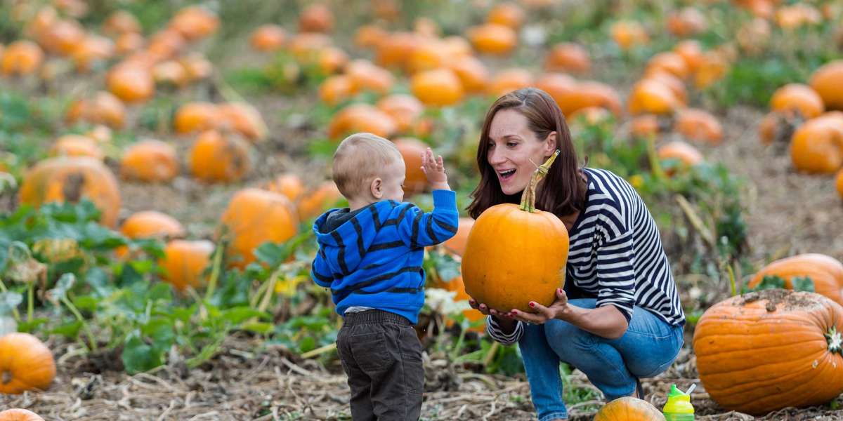 Fall Festival Ideas: A Breakdown Of All The Fall Activities