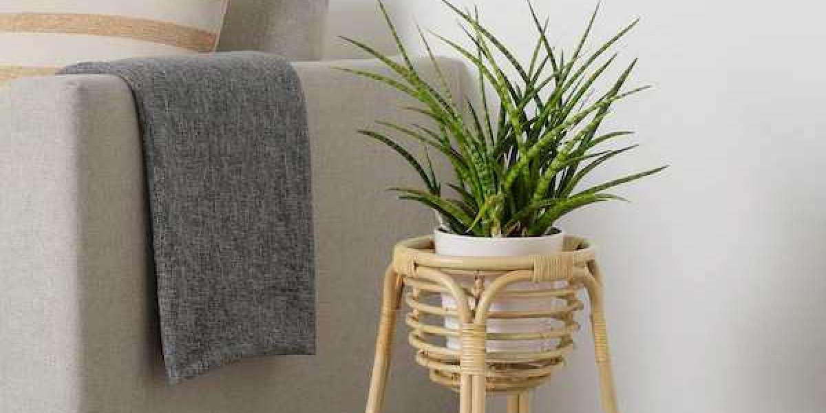 Top Trending Plants Stand Wholesale for Home Decoration