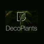 Deco Plants Profile Picture