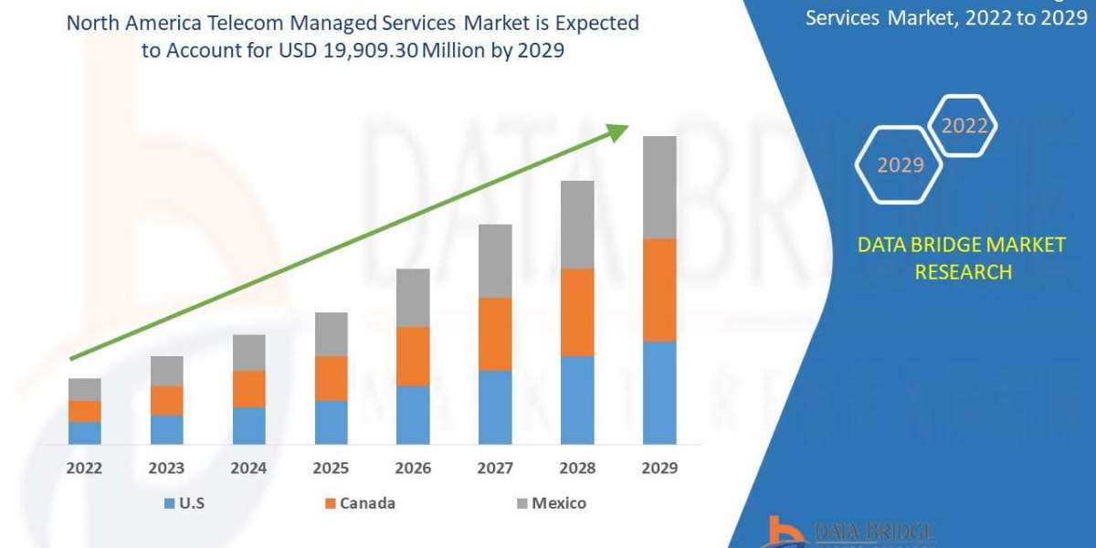 North AmericaTelecom Managed Services Market Latest Innovations, Drivers and Industry Key Events Over 2029