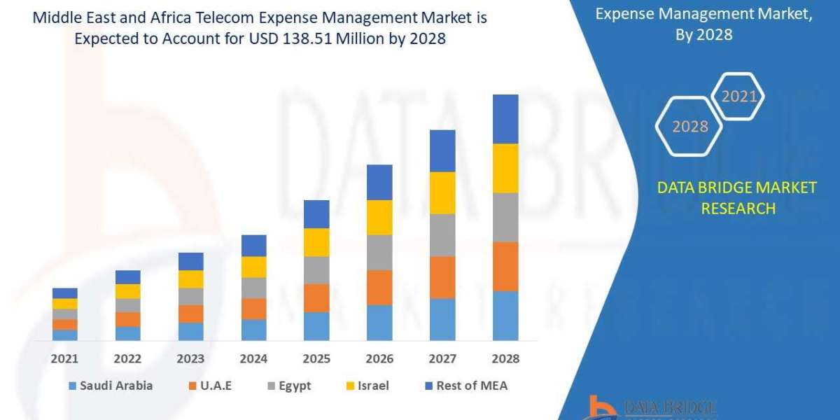 Middle East and Africa Telecom Expense Management Market Application Analysis
