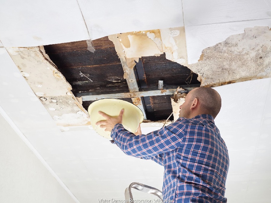 Striking Benefits of Hiring a Professional Water Damage Restoration Company | Home Uniquely