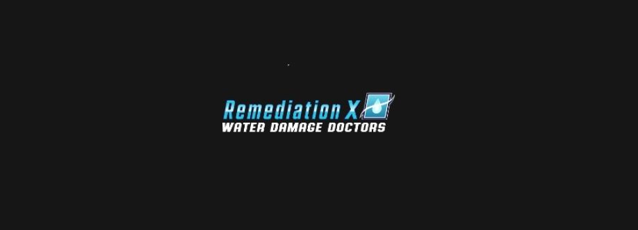 REMEDIATIONX Cover Image