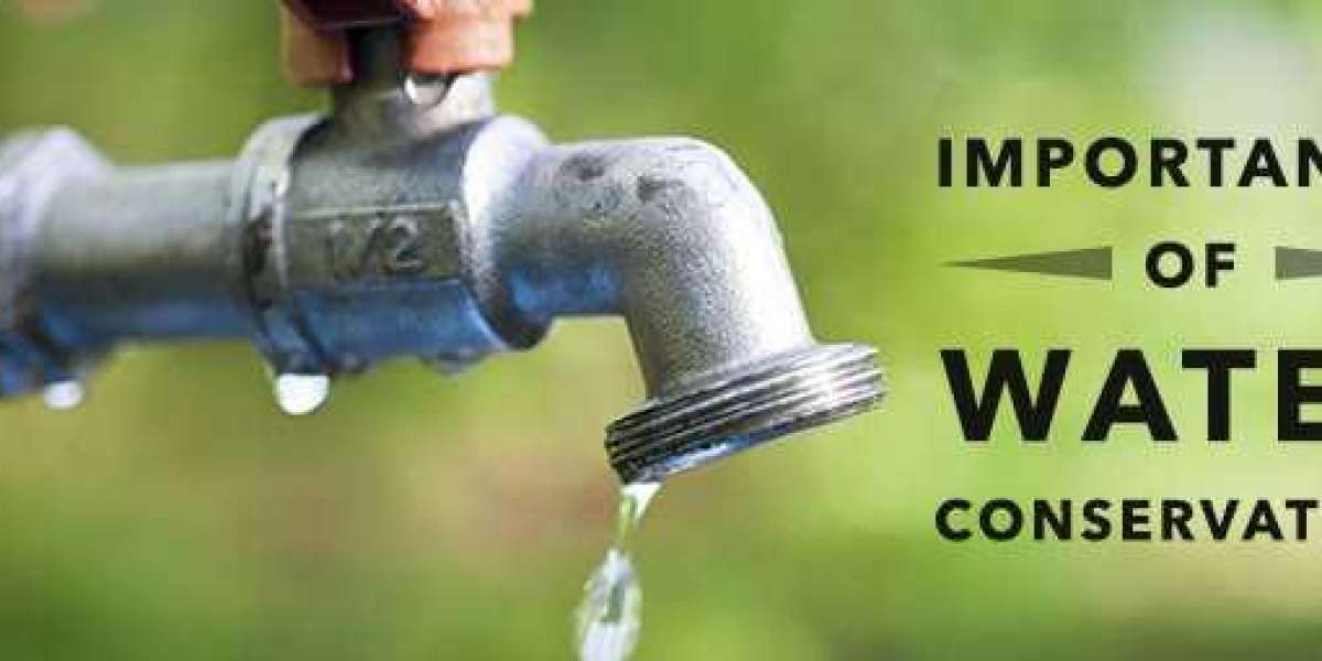 The Importance of Water Conservation in Garden Landscaping