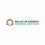 Valleyof Expert Profile Picture