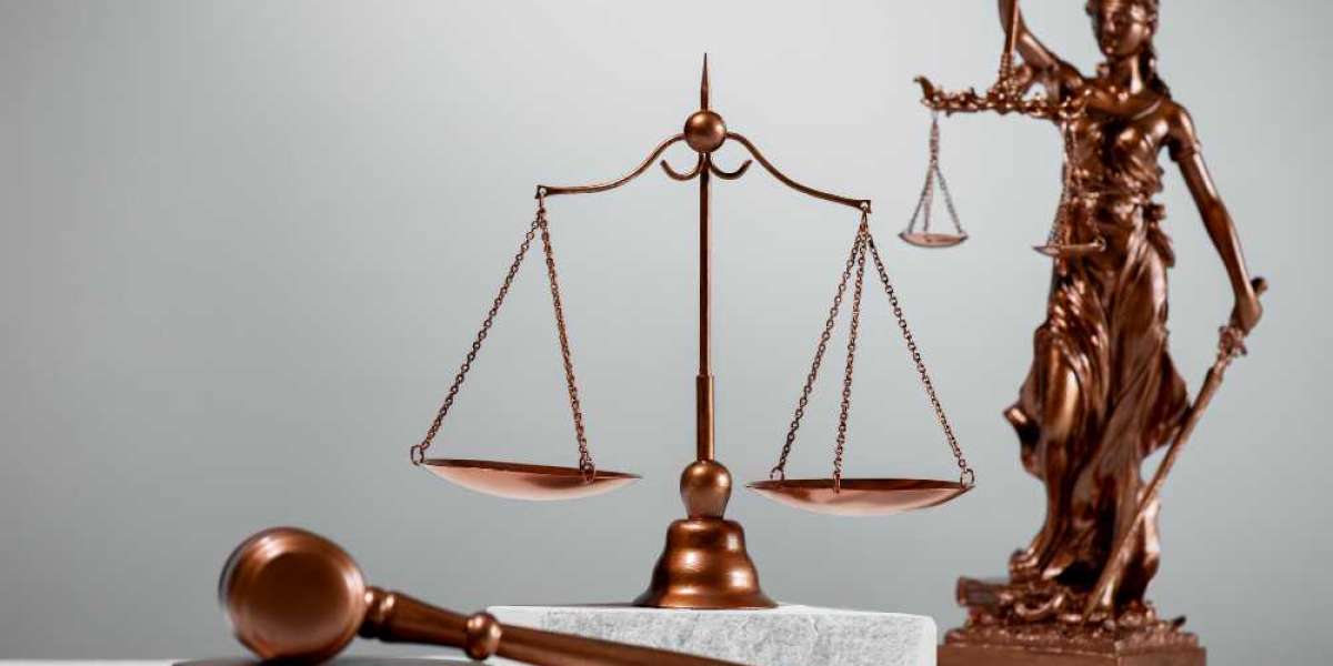 The Impact of Attorneys on the Legal System