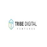 Tribe Digital Ventures Profile Picture
