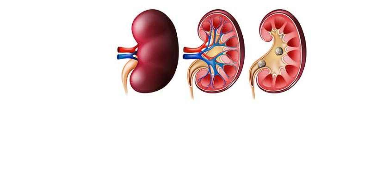 Kidney Damage Symptoms In The Body