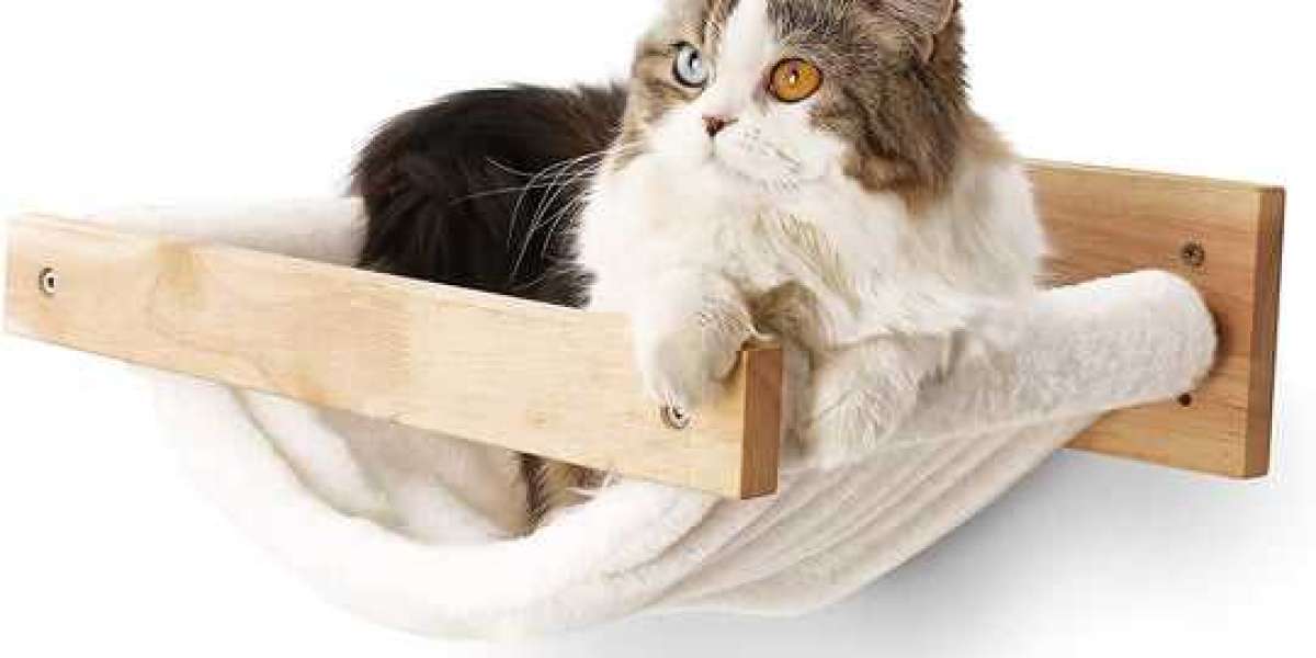 10 Top Types of Cat Wall Shelves for Feline Fun and Comfort
