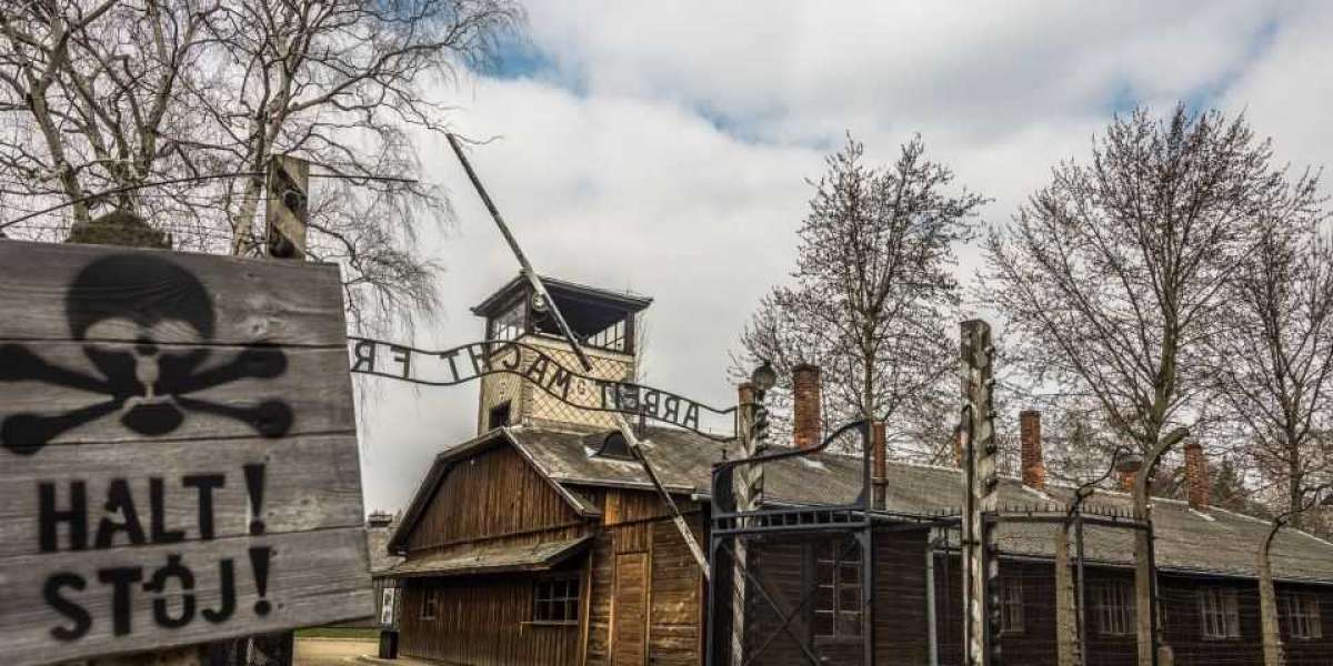 Educational Value: How Auschwitz Tours Impact Students