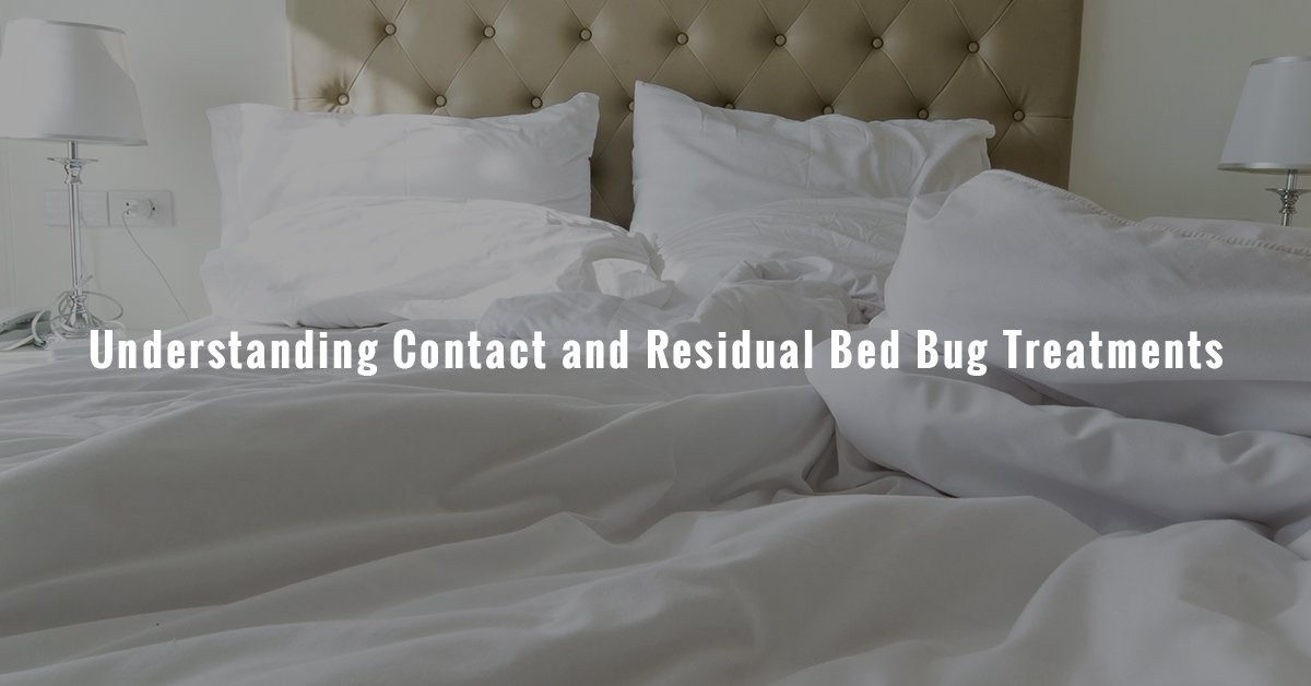 Bed Bug Powder | Bed Bug Powder Home Depot | Bedbugstore