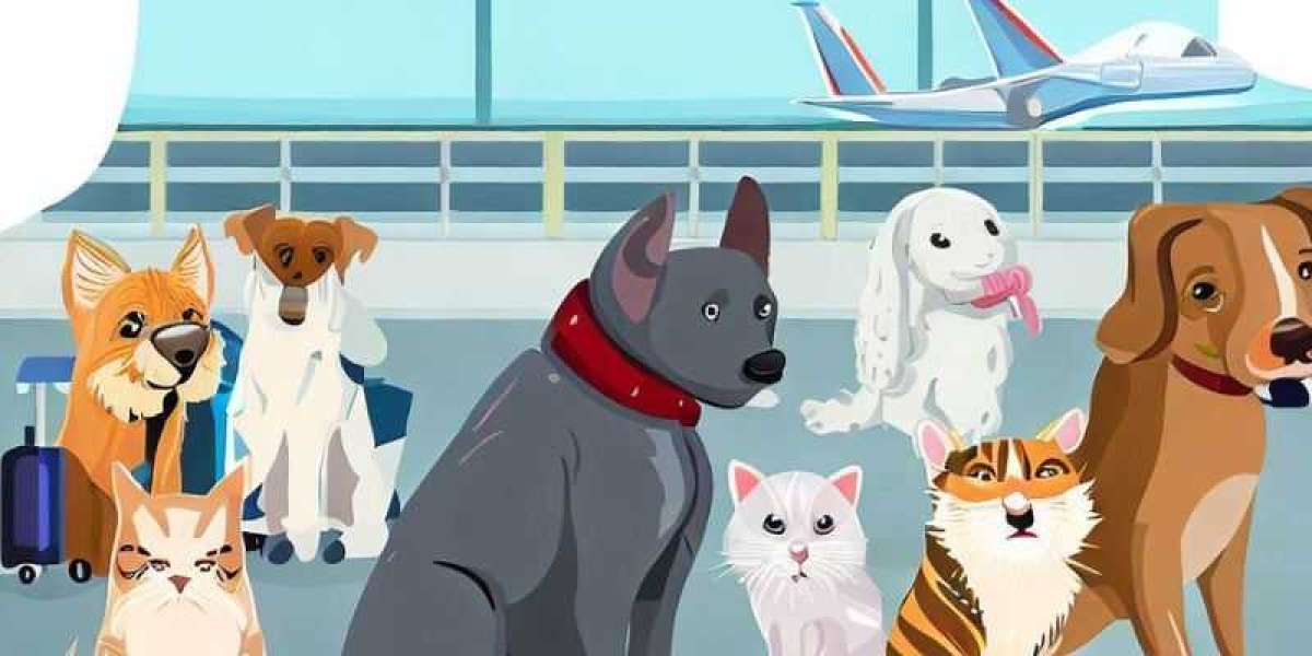 The Ultimate guide to Air Canada Pet Policy
