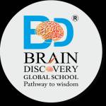 Brain Discovery Global School Profile Picture