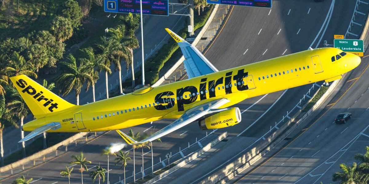 Spirit Airlines Group Booking and Travel