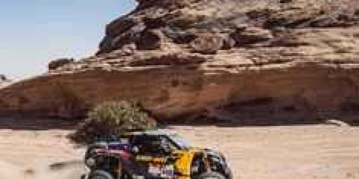 Exploring the Desert Sands with Dune Buggy Rentals