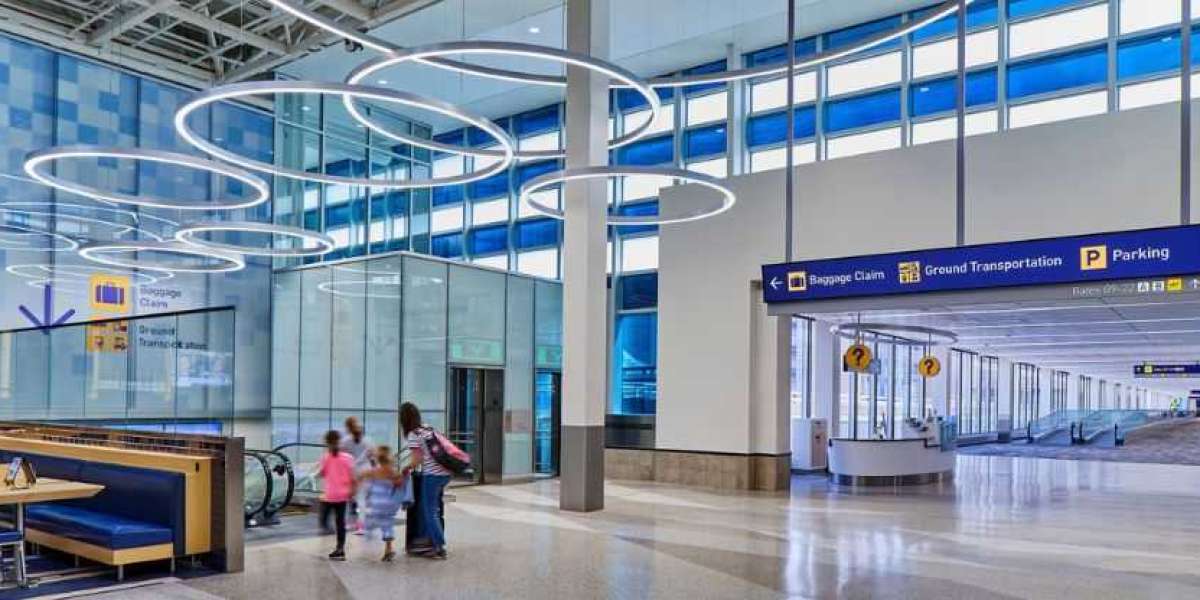 Soaring through the Twin Cities: A Unique Spirit at MSP Terminal