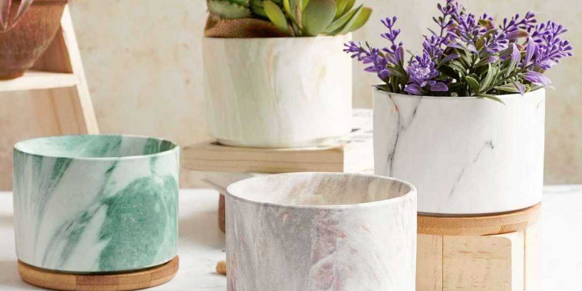 Cultivating Beauty Unveiling the Diversity of Homebase Garden Pots