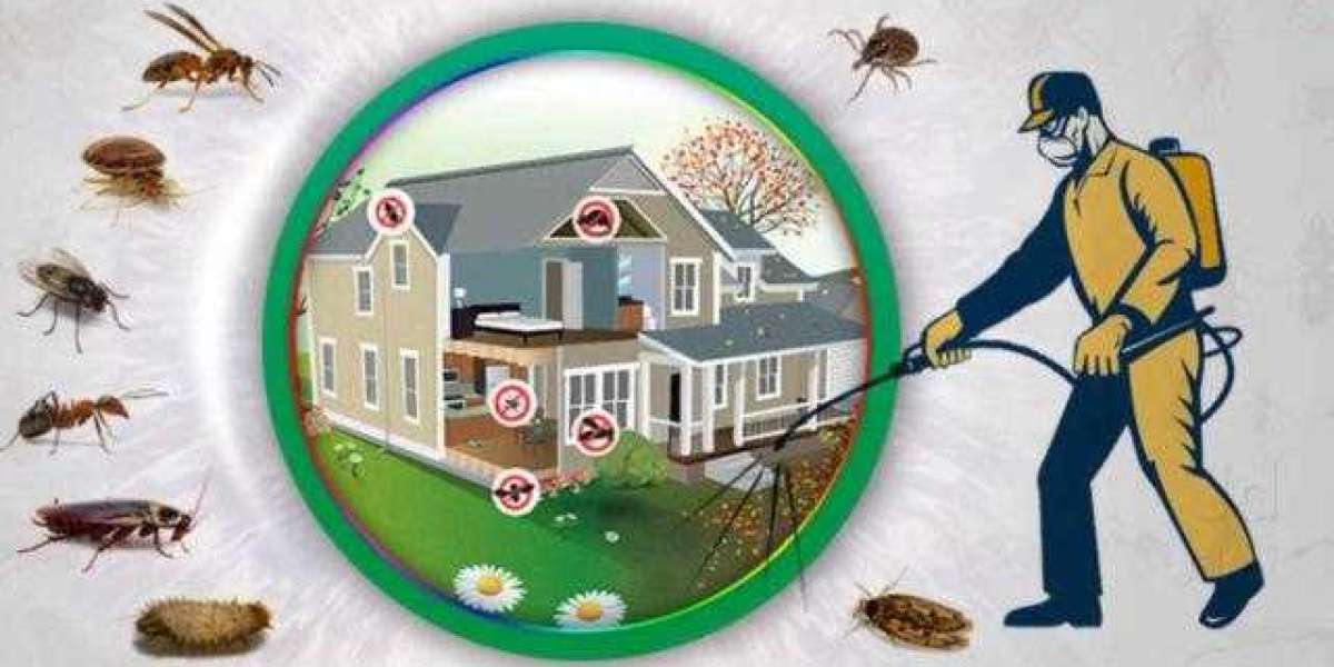 Pestronix Services: Your Trusted Name for Fumigation Services