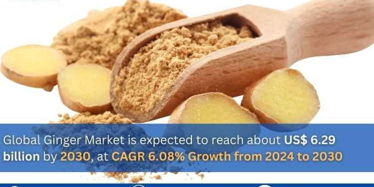 Global Ginger Market is expected to reach about US$ 6.29 billion by 2030, at CAGR 6.08% From 2024 to 2030