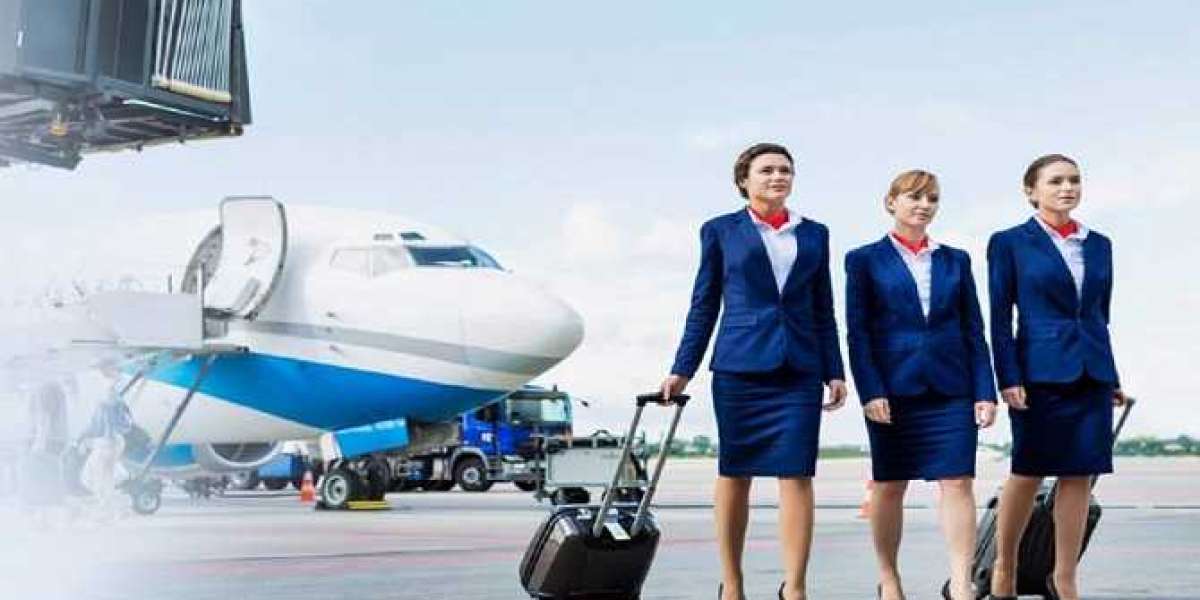 Soaring to Success: Unveiling the Journey with Frankfinn's Institute for Air Hostess Training