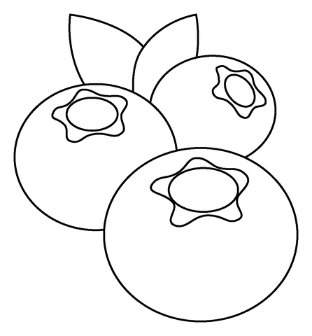 Blueberries Coloring Pages Online For Kids!