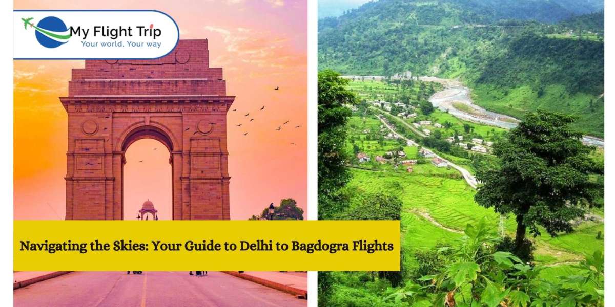Navigating the Skies: Your Guide to Delhi to Bagdogra Flights