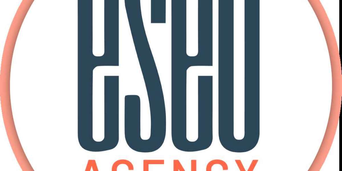 eSEO Agency: Your Shopify SEO Powerhouse in the USA